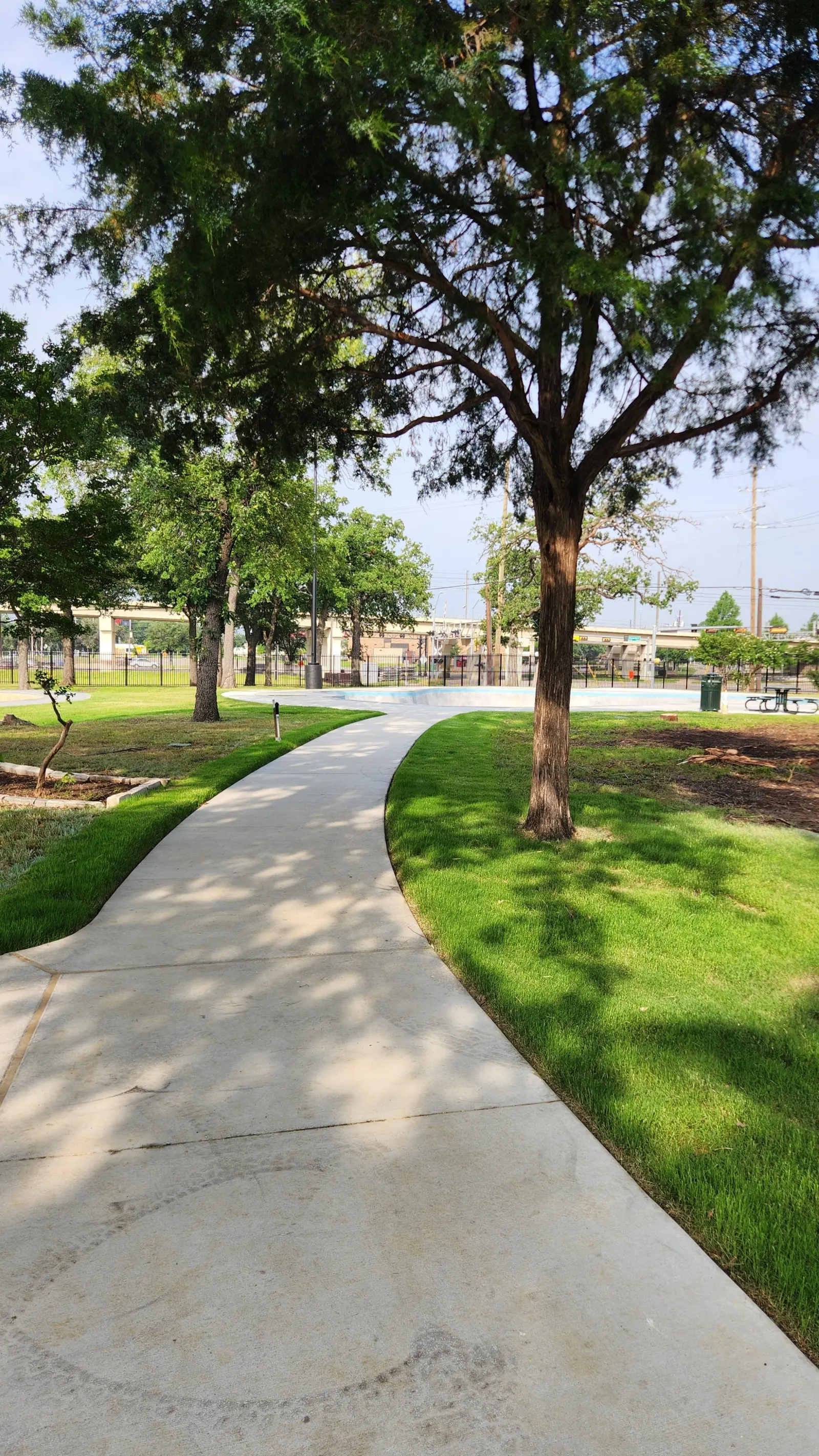 Sidewalk and shade trees to the deepest bowl where the pros were flying on Saturday May 17, 2025