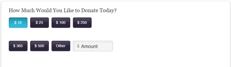 $10 Donation