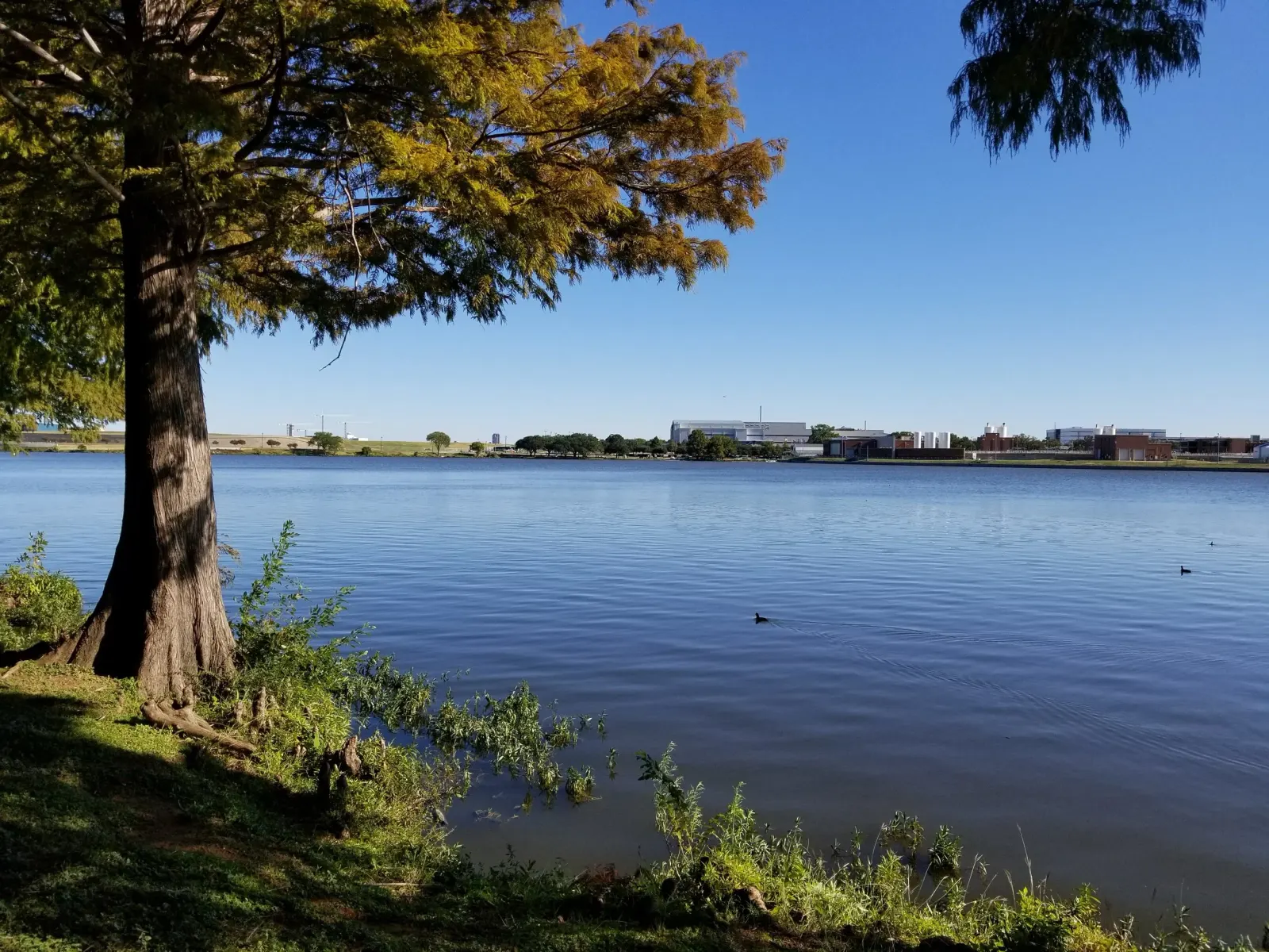 Bachman Lake Dallas Love Field Southwest Airlines