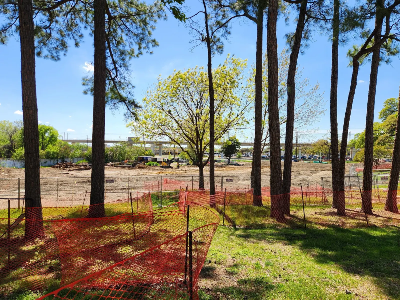 Bachman Lake Skatepark Ground Breaking Preserved Shade Trees.jpg