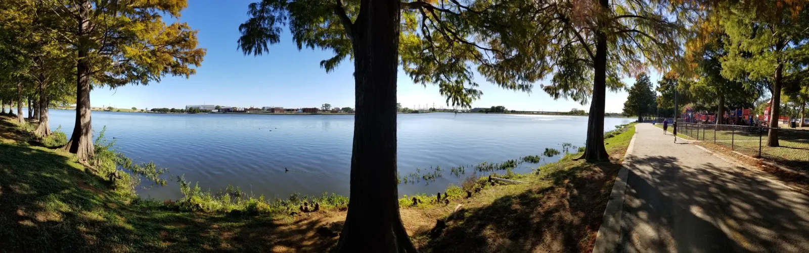 Beautiful Bachman Lake Location for a Skatepark
