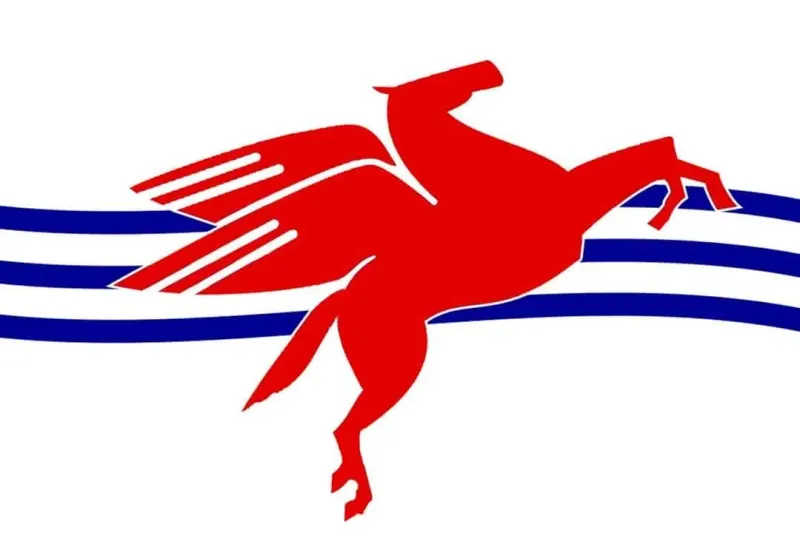 Dallas May's Flag