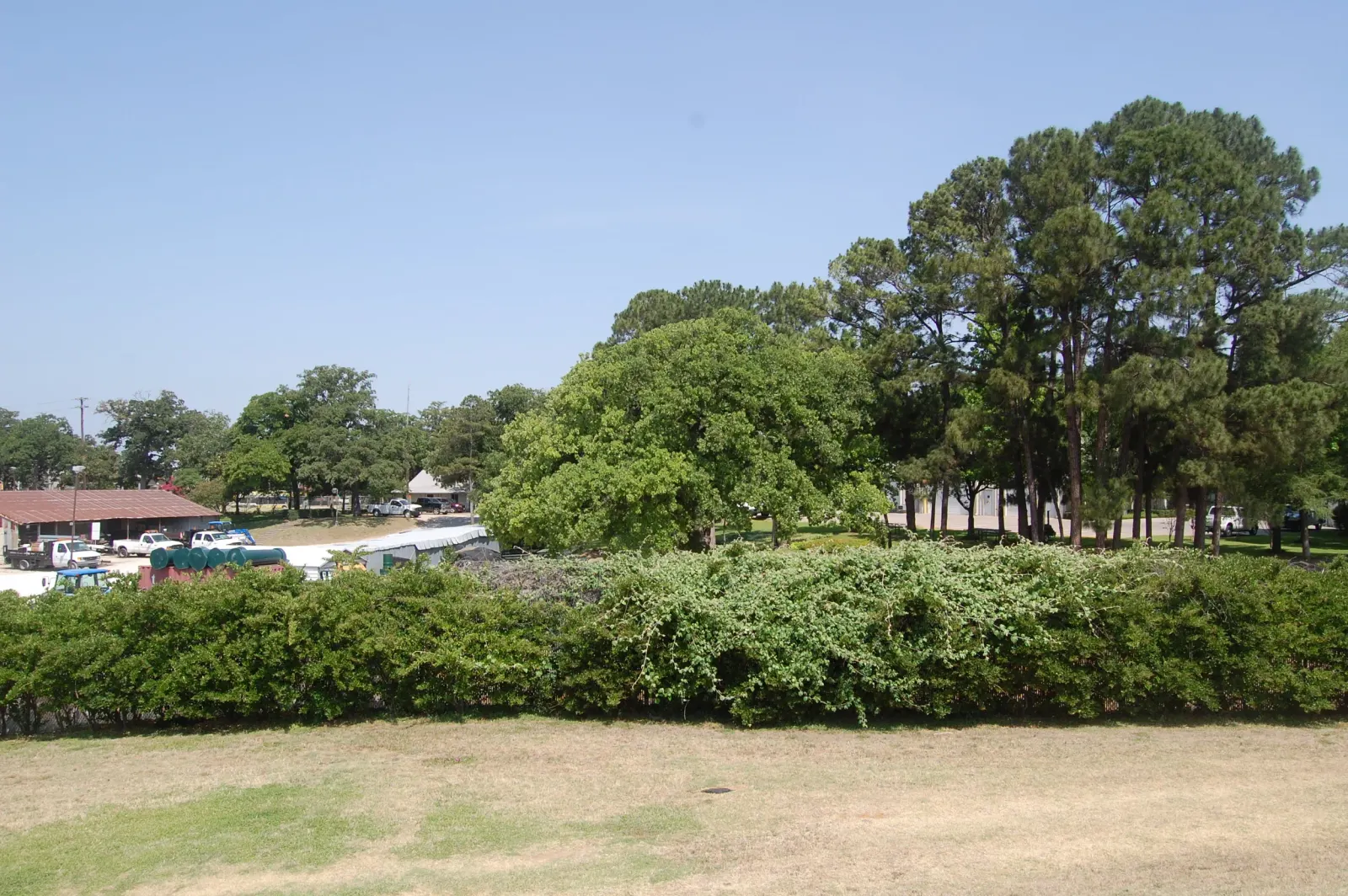 Extensive Shade Trees on site