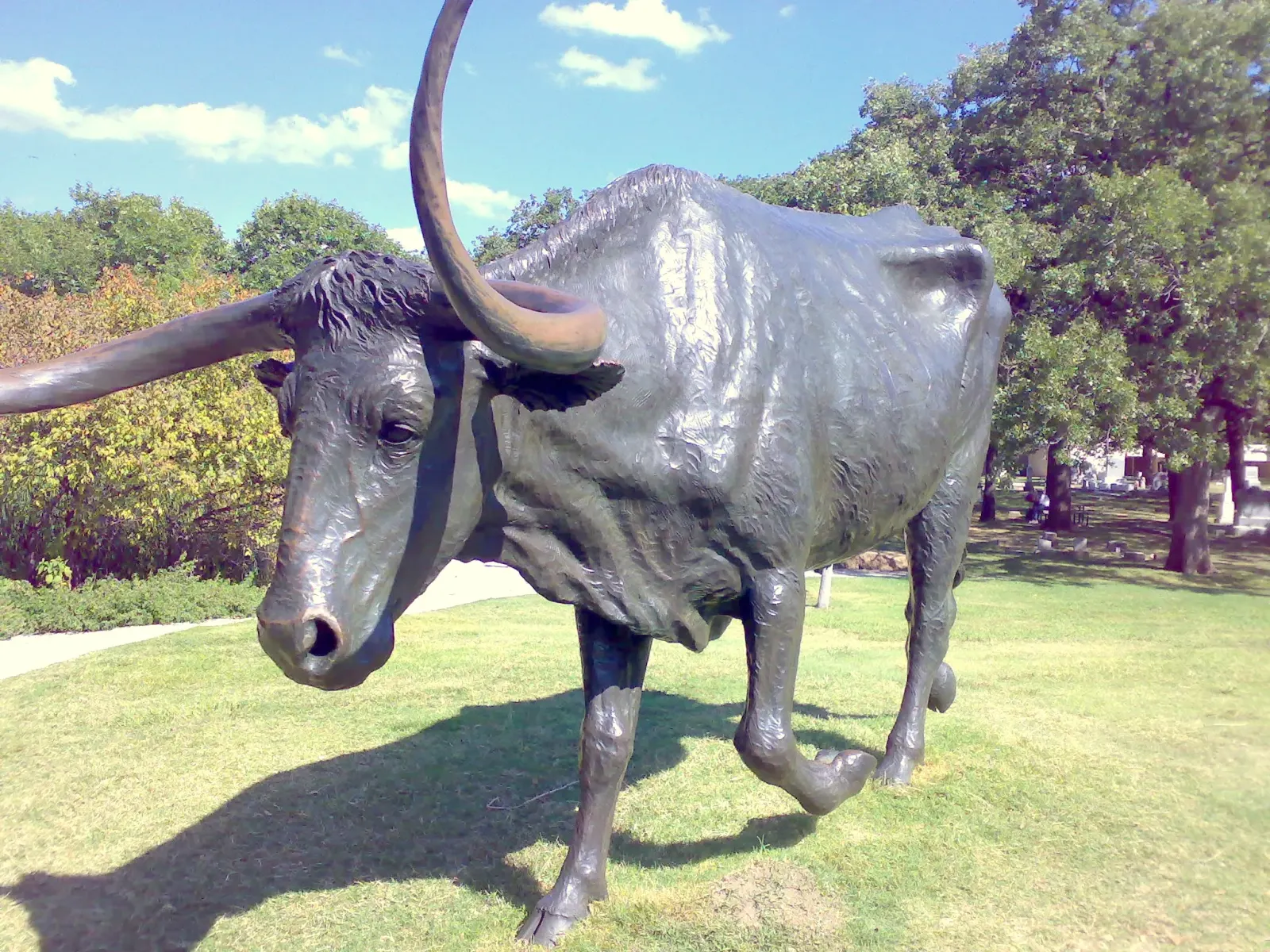Pioneer Plaza Longhorns in Downtown Dallas