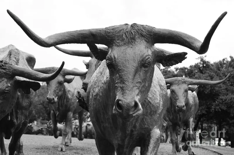 Pioneer Plaza Longhorns